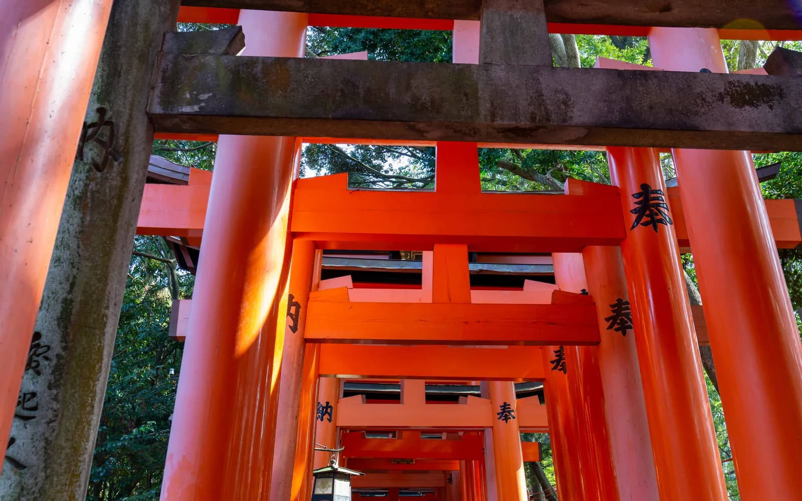 Fushimi Inari Taisha