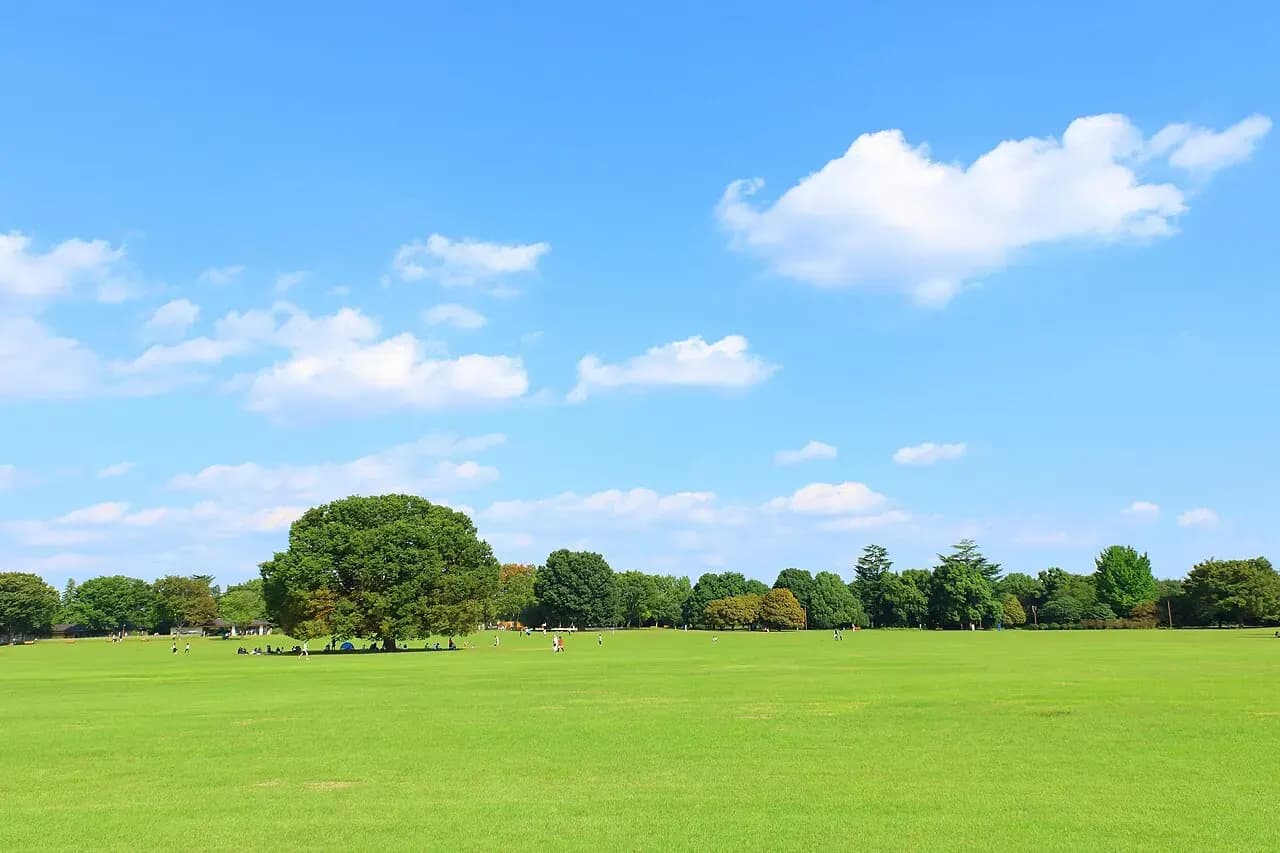 Wide green lawn at Showa Kinen Park