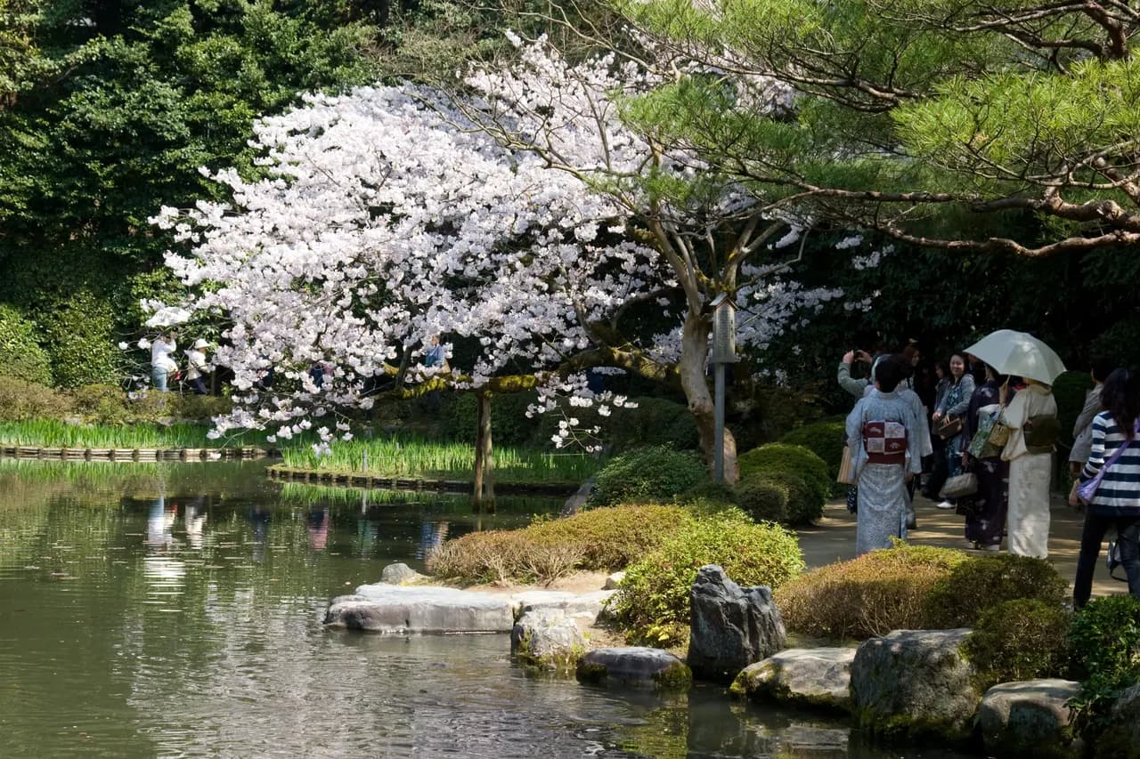 Spring view of the garden at Heian Jingu; blossoms are seasonal