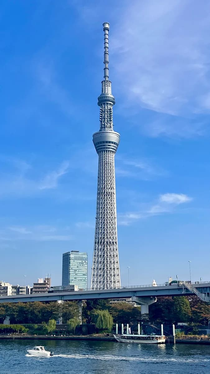 Tokyo Skytree rising above the surrounding city
