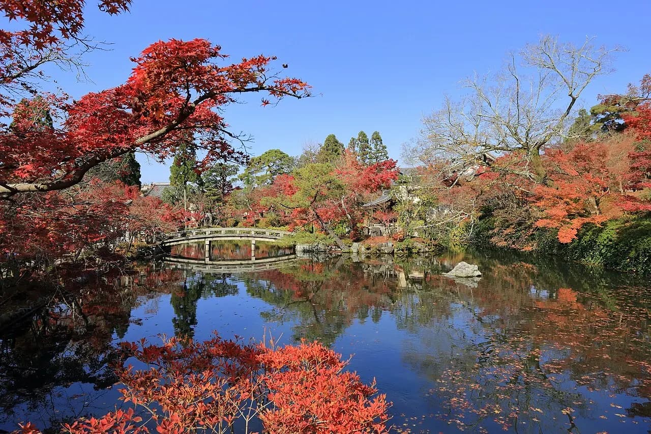 Autumn trees reflected in the pond at Eikan-do