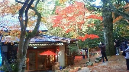 A path and teahouse surrounded by autumn trees at Momijidani Park