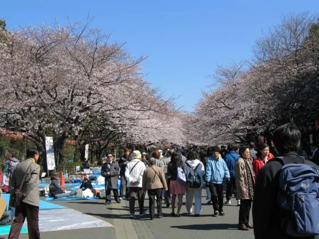 Ueno Park